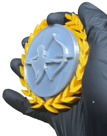 Médaillon imprimé en 3D, trophée sportif personnalisé, PAMI3D